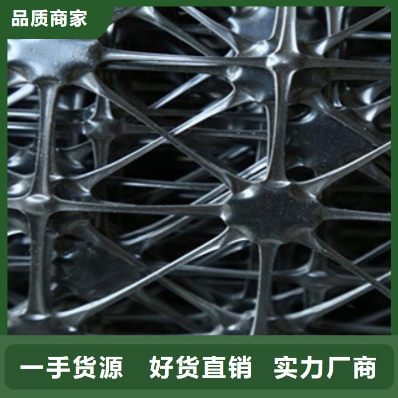 雙向塑料格柵,玻纖土工格柵廠家直銷貨源充足