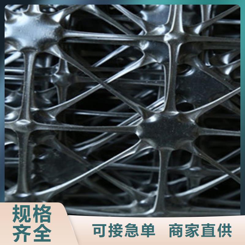 雙向塑料格柵_塑料土工格柵原廠制造