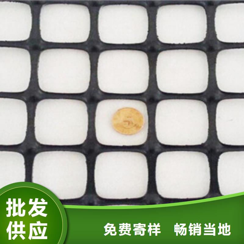 雙向塑料格柵三維植被網保質保量