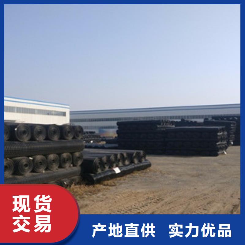 雙向塑料格柵,玻纖土工格柵廠家直銷貨源充足