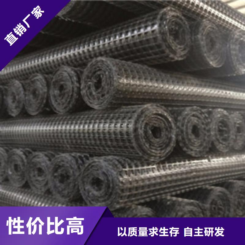 雙向塑料格柵三維植被網保質保量