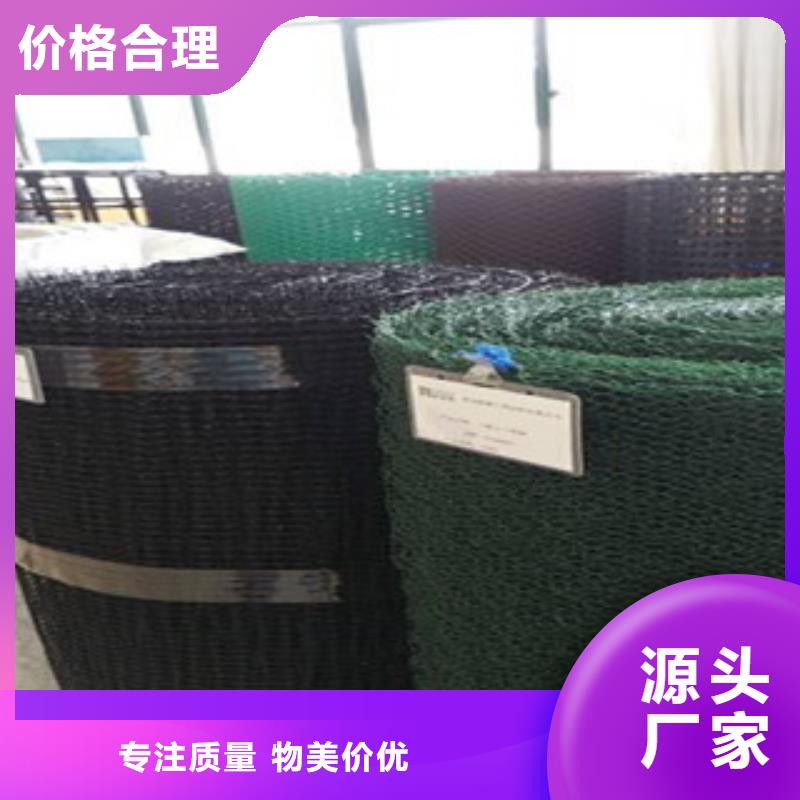 鋼塑土工格柵【三維植被網(wǎng)】放心購