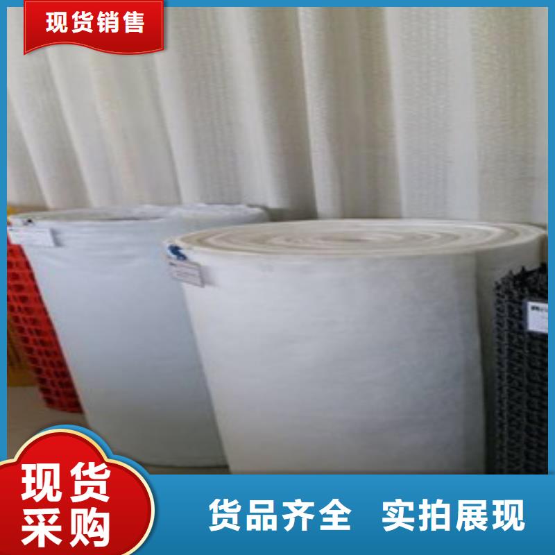 鋼塑土工格柵三維植被網優質貨源