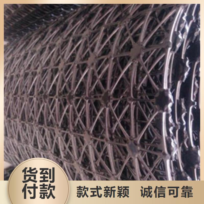 鋼塑土工格柵_(tái)塑料土工格柵價(jià)格有優(yōu)勢(shì)