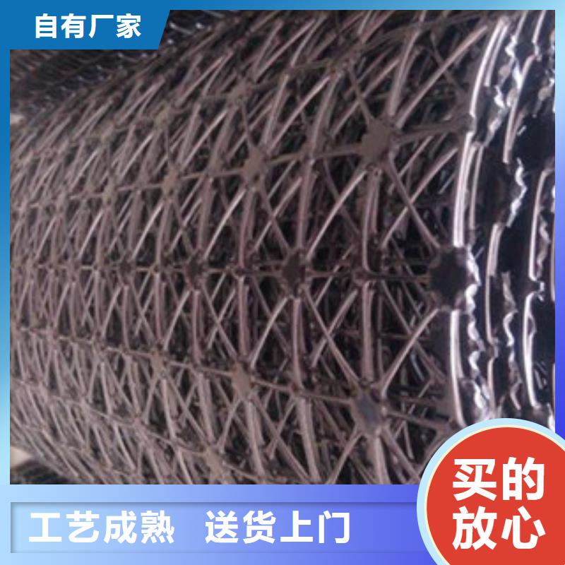 鋼塑土工格柵塑料土工格柵庫存量大