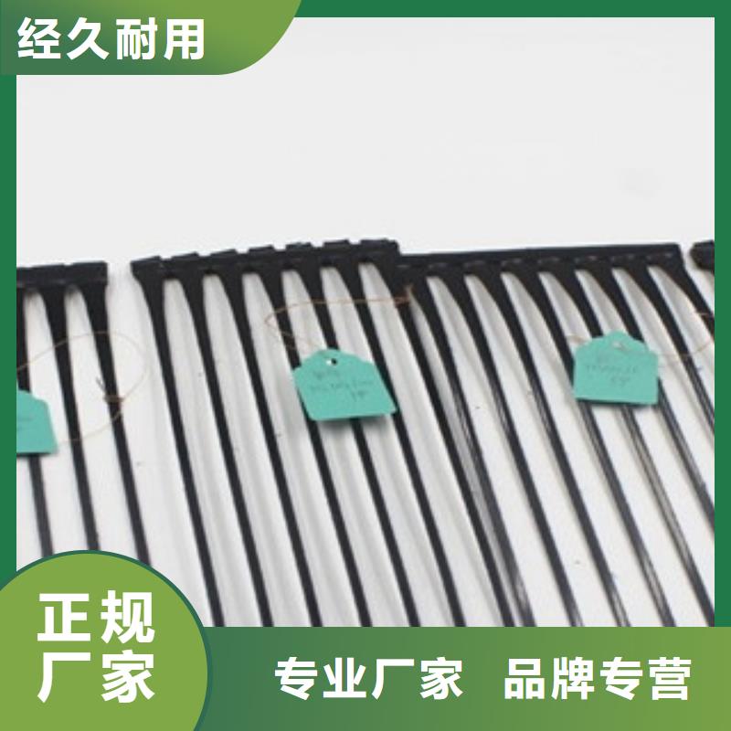 單向塑料格柵,三維植被網廠家現貨批發