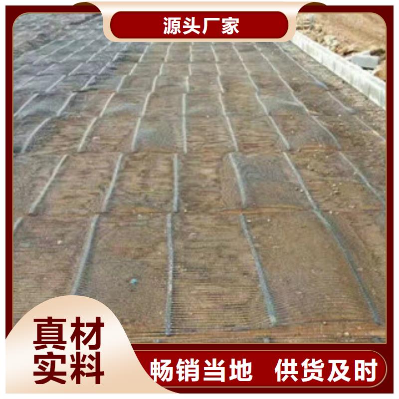 單向塑料格柵-膨潤土防水毯售后無憂