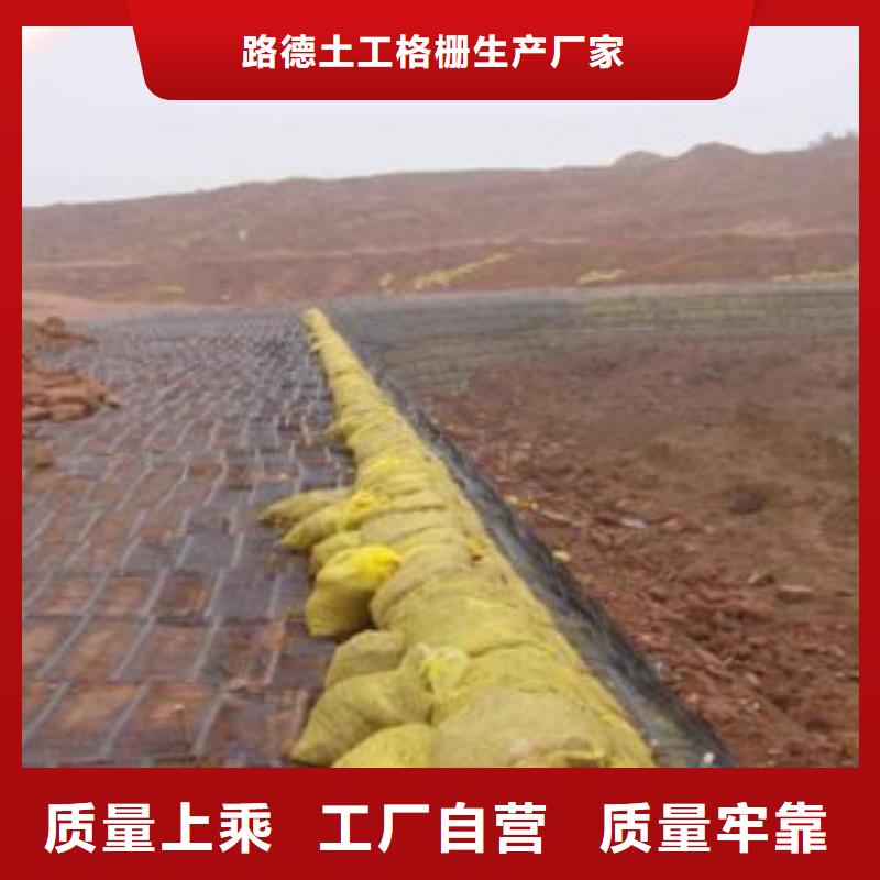 單向塑料格柵防裂貼抗裂貼免費寄樣