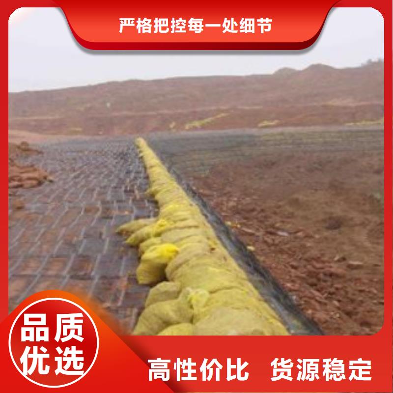 【單向塑料格柵玻纖土工格柵技術先進】