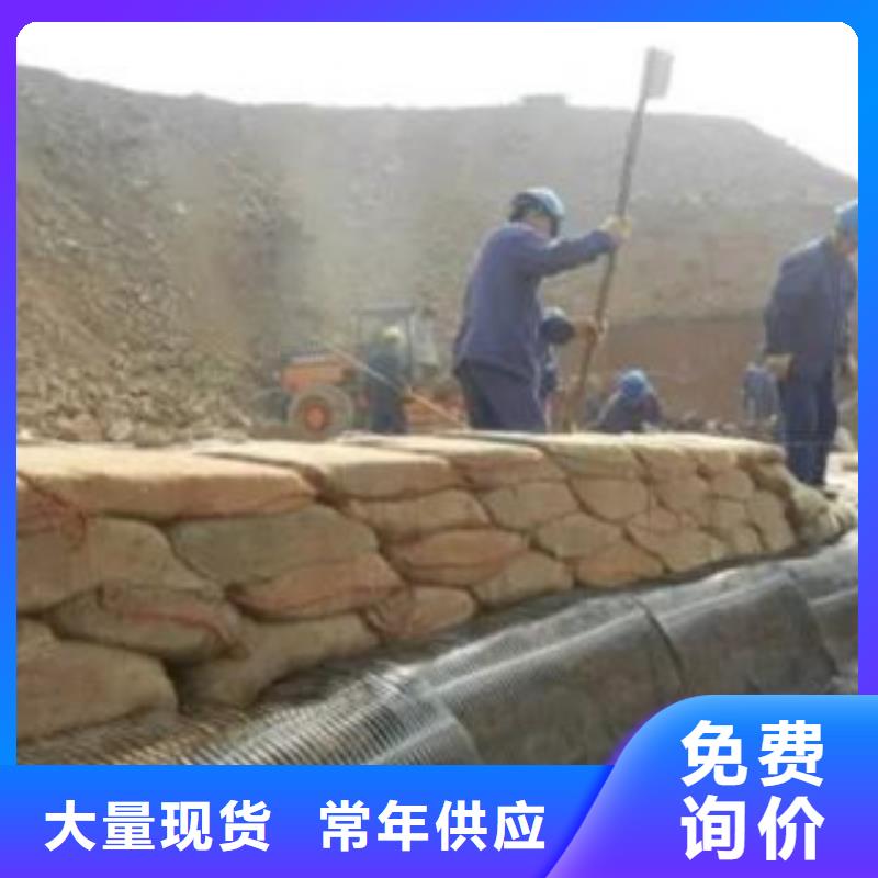 單向塑料格柵塑料土工格柵規(guī)格型號全