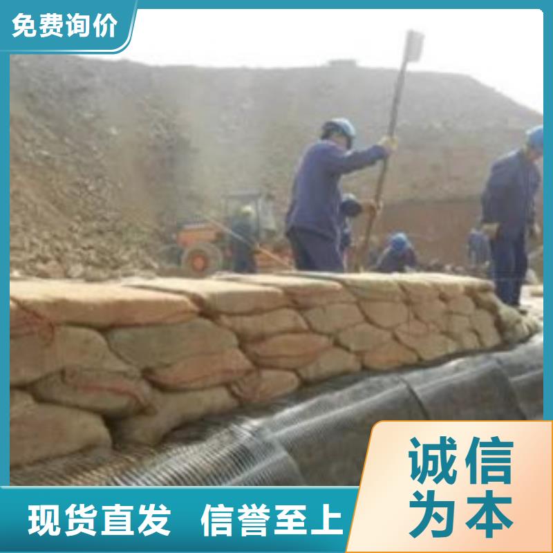 单向塑料格栅膨润土防水毯出厂价