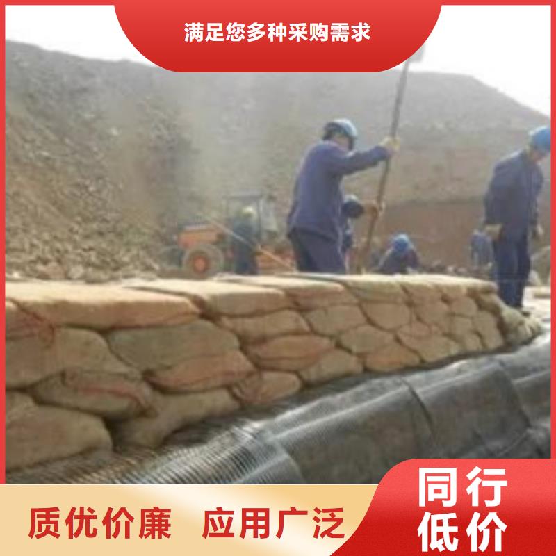 單向塑料格柵高強度土工網(wǎng)好品質(zhì)售后無憂