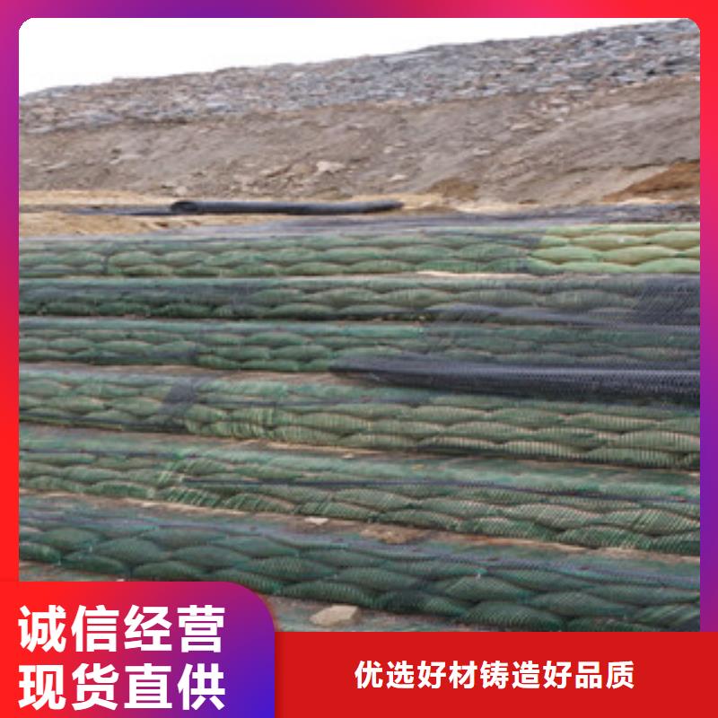 單向塑料格柵膨潤土防水毯好品質(zhì)選我們