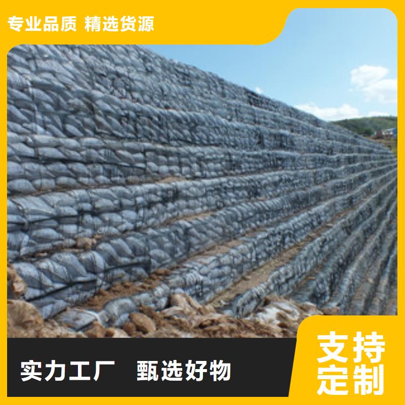 單向塑料格柵膨潤土防水毯專注品質