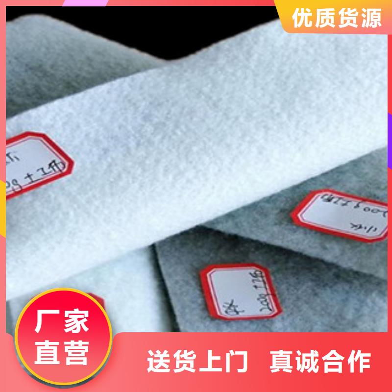 土工布塑料排水板品牌大廠家