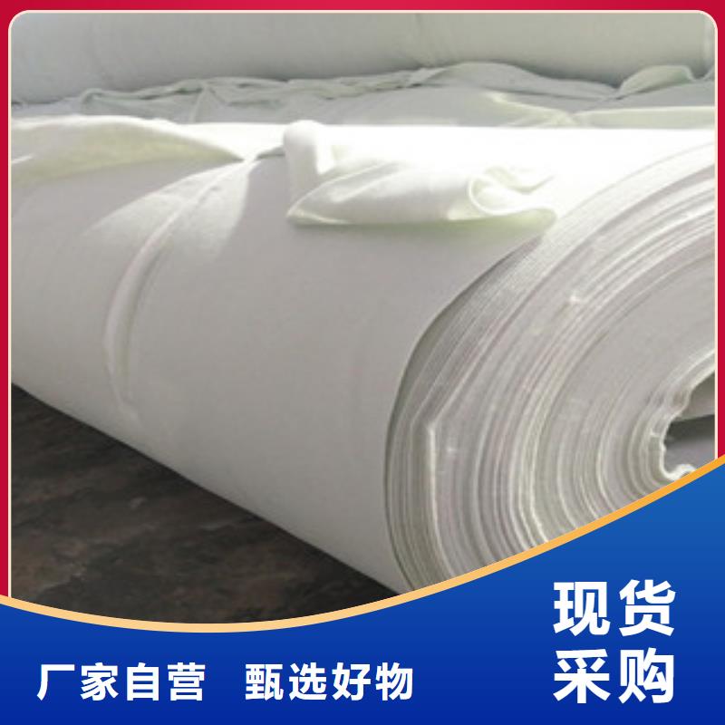 土工布玻纖土工格柵多年廠家可靠