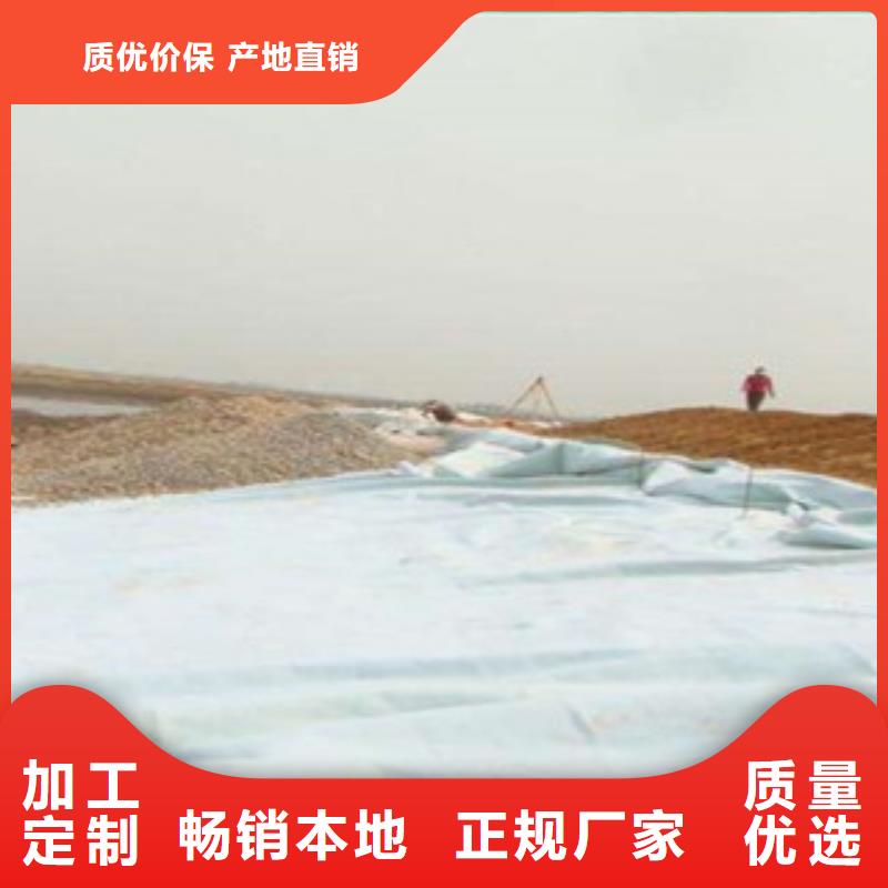 土工布高强度土工网多年行业积累