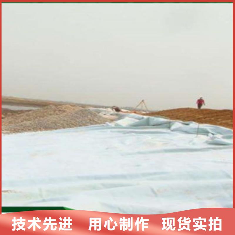 土工布,塑料土工格柵免費寄樣