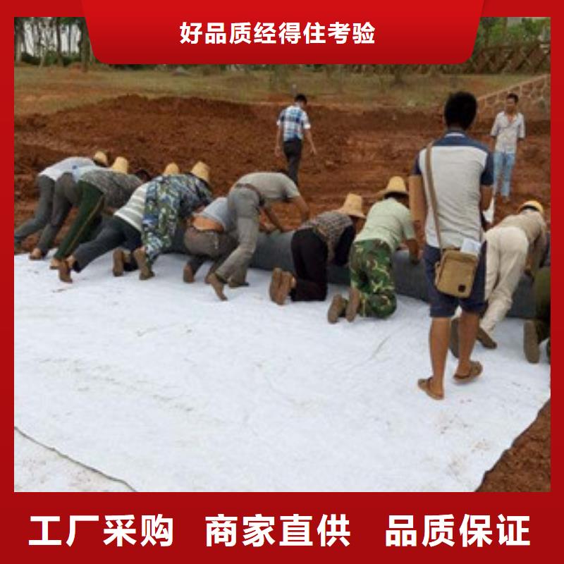 膨潤土防水毯玻纖土工格柵種類豐富