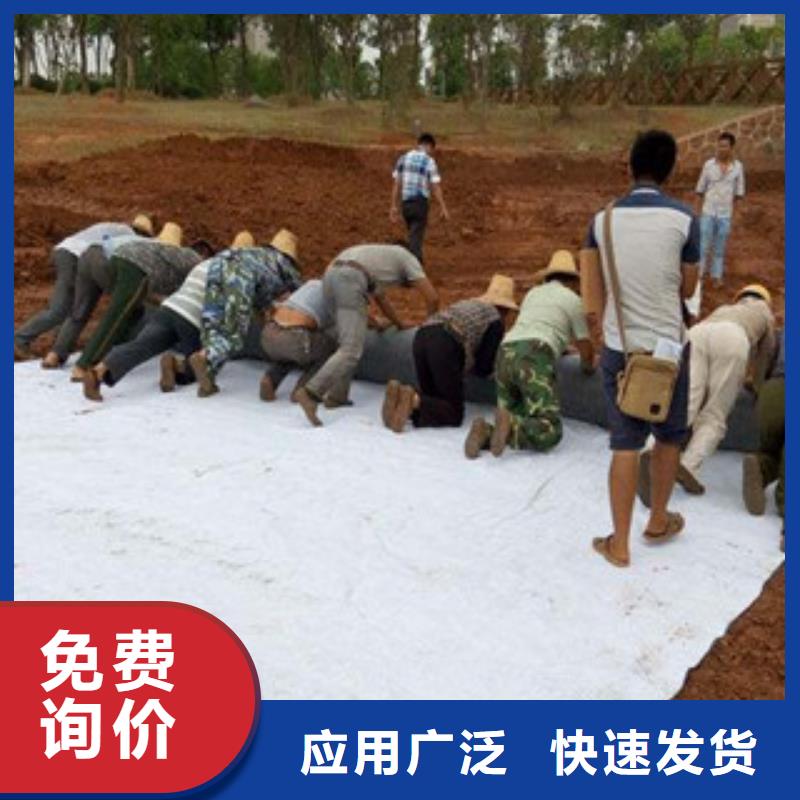 膨潤土防水毯塑料土工格柵價格公道合理