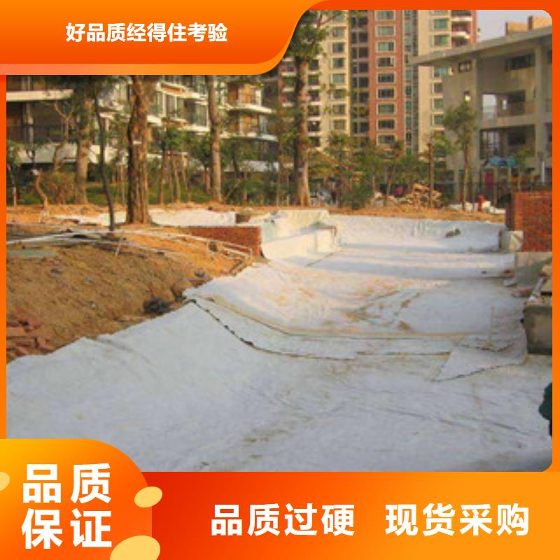 【膨润土防水毯】玻纤土工格栅随心所欲定制