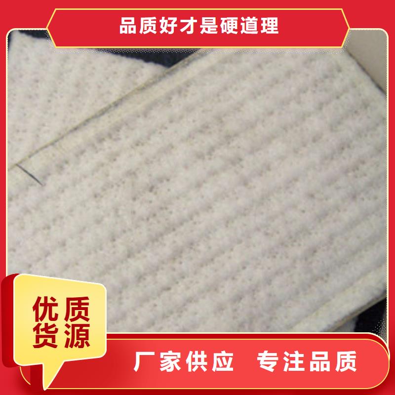 膨润土防水毯塑料排水板多种规格可选