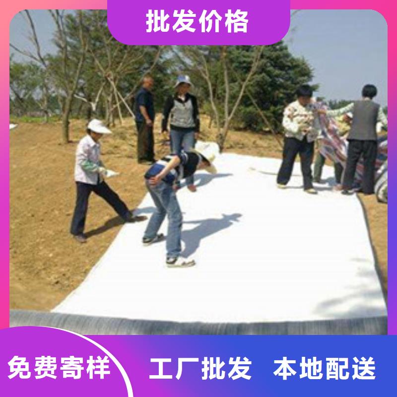 【膨潤土防水毯】玻纖土工格柵生產經驗豐富