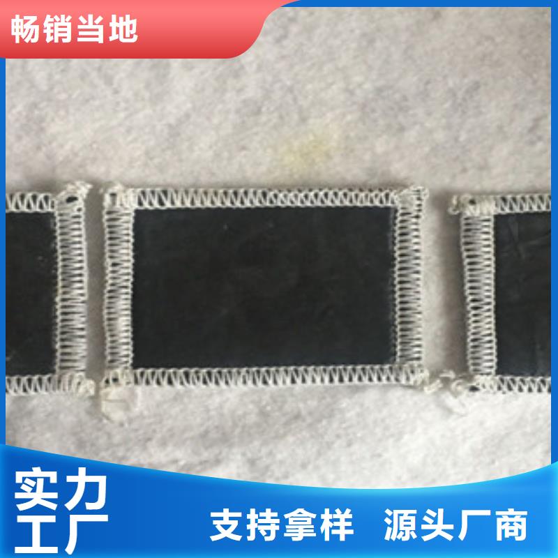 膨潤土防水毯_玻纖土工格柵打造好品質