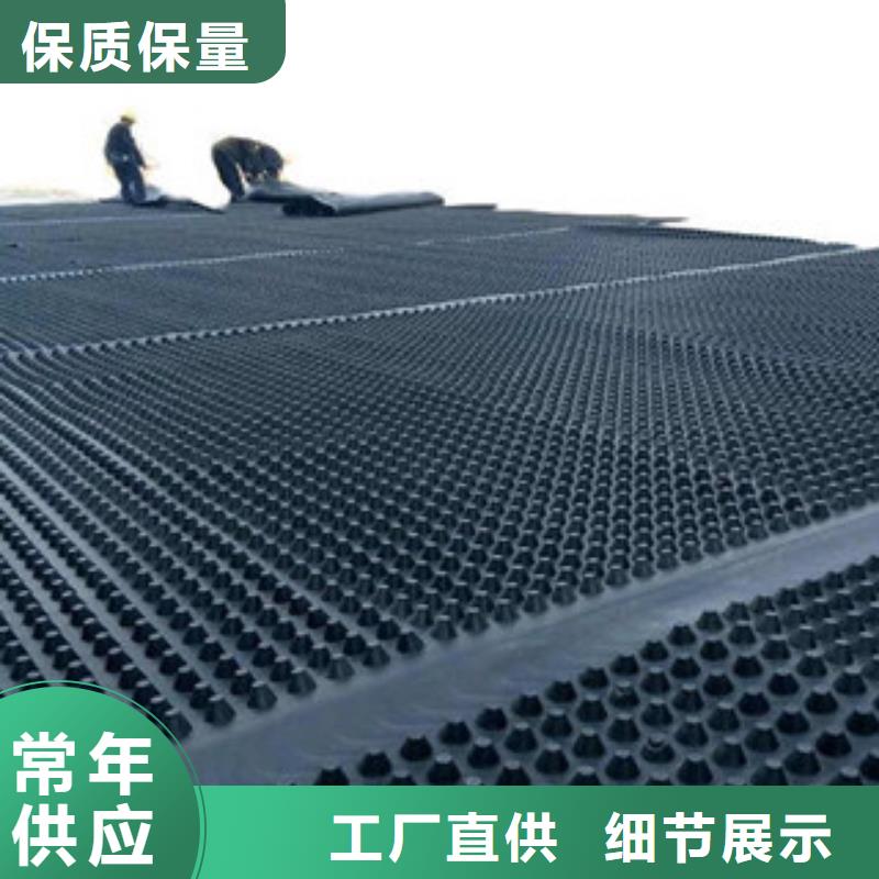 塑料排水板塑料土工格柵出貨及時