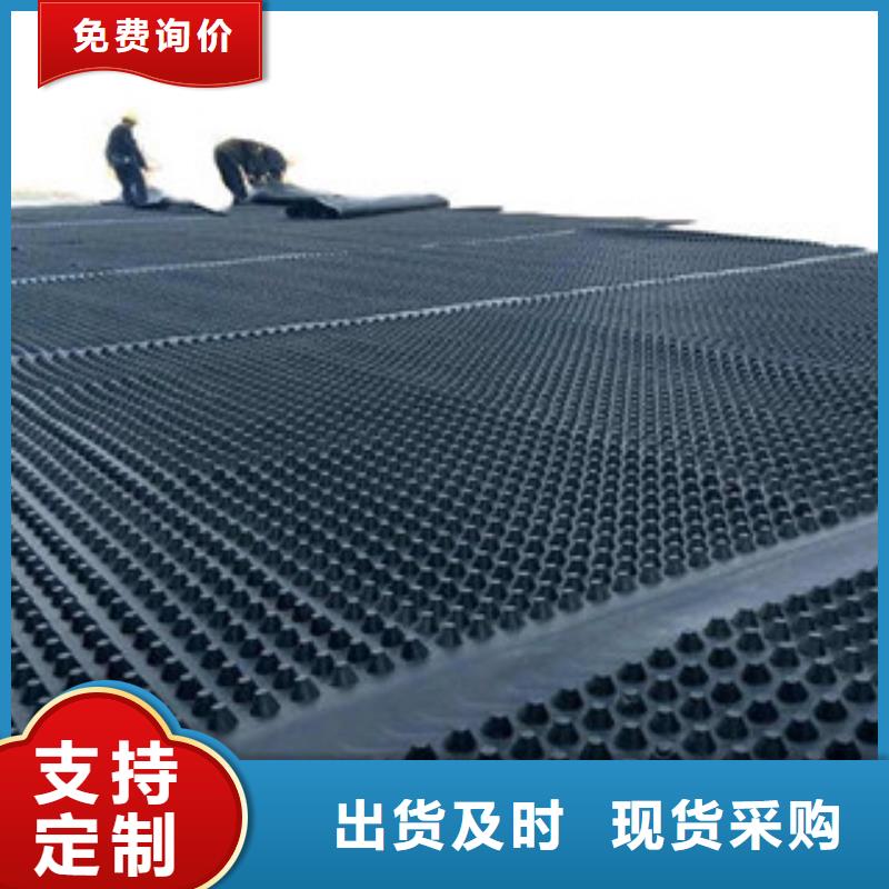 塑料排水板-復合土工布誠信為本
