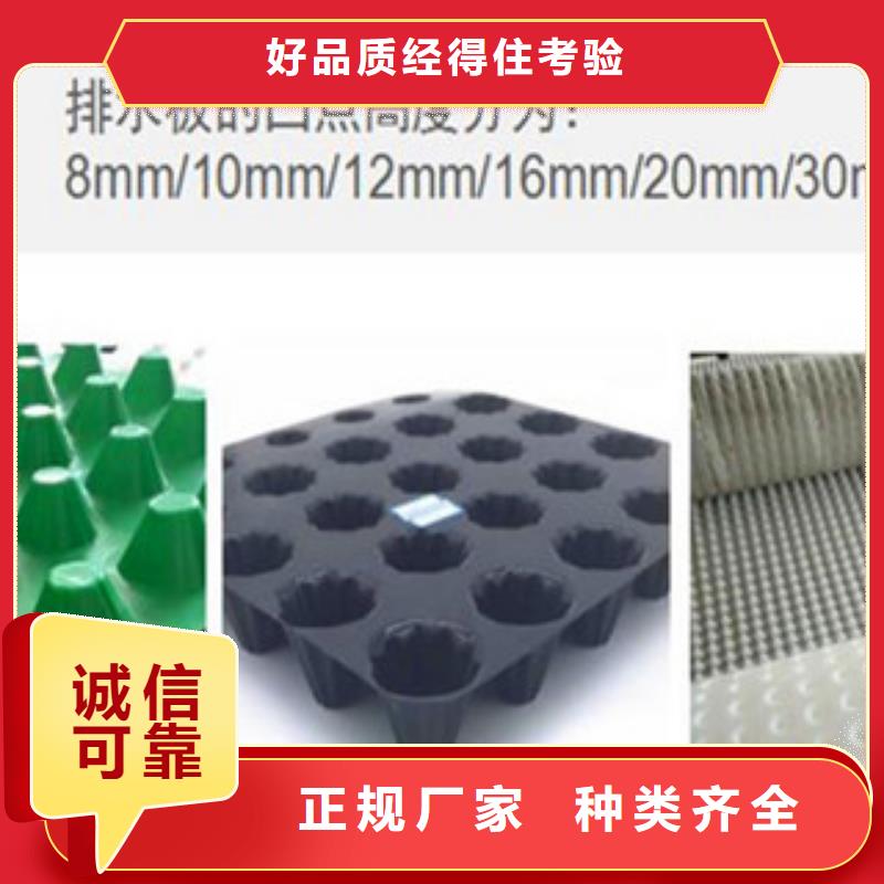 塑料排水板-塑料土工格柵工程施工案例