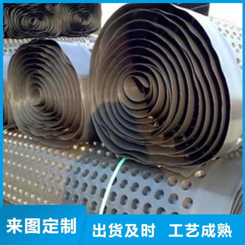塑料排水板塑料土工格柵經驗豐富質量放心