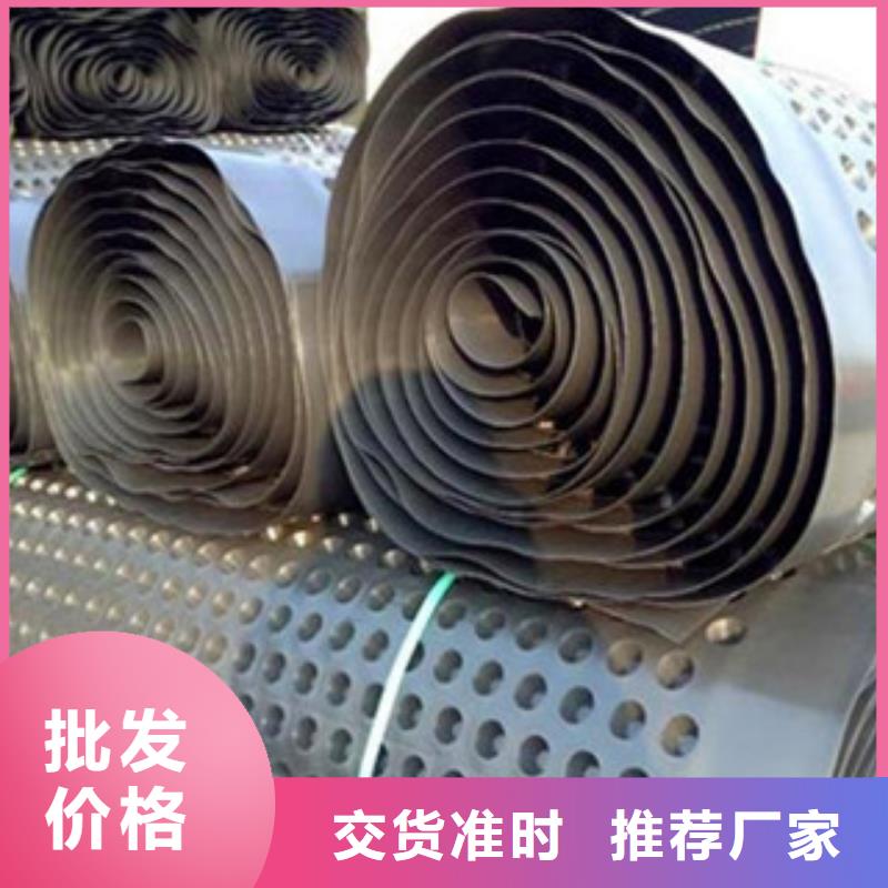 塑料排水板三維植被網廠家經驗豐富