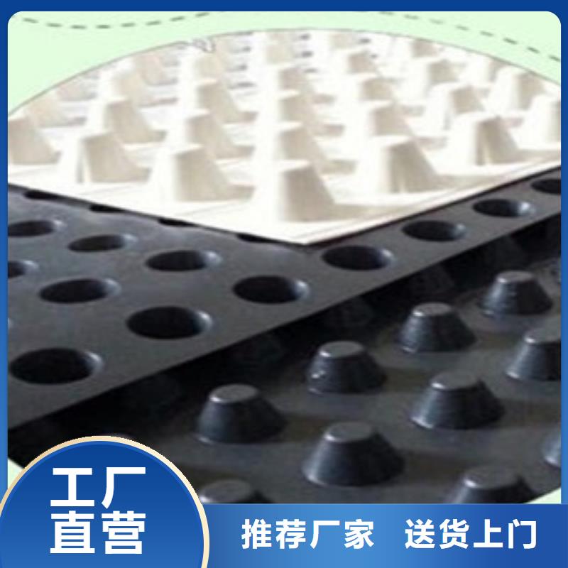 塑料排水板塑料土工格柵出貨及時