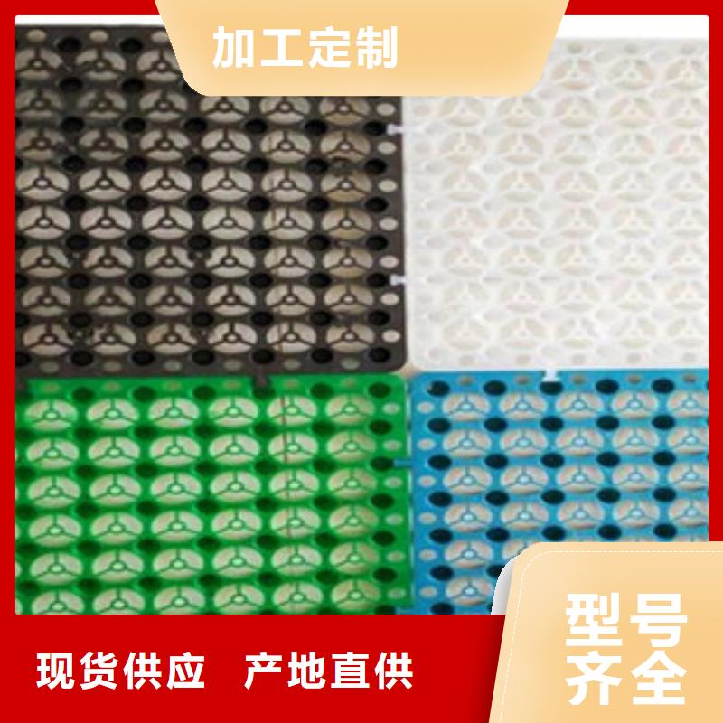 塑料排水板三維植被網(wǎng)您想要的我們都有