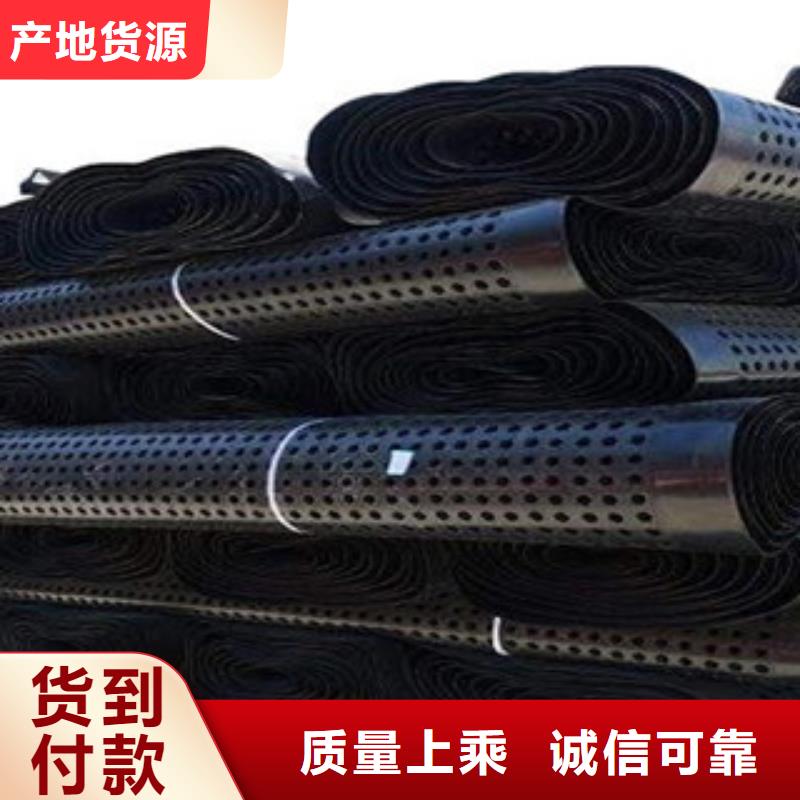 塑料排水板塑料土工格柵專業(yè)按需定制