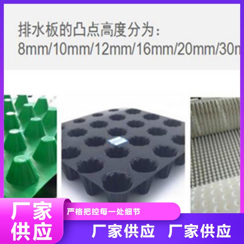 【塑料排水板_高强度土工网厂家大量现货】