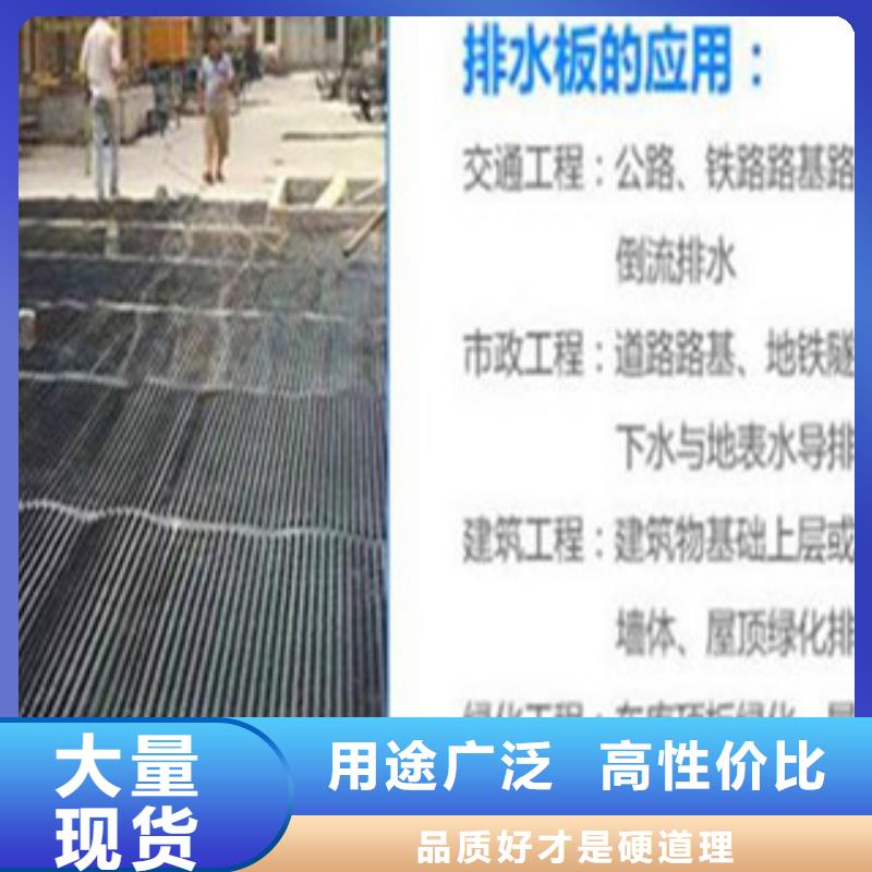 塑料排水板塑料土工格柵專業按需定制