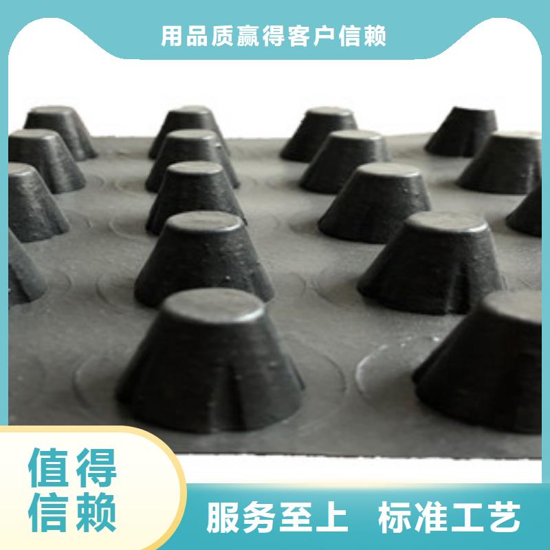 塑料排水板三維植被網廠家經驗豐富