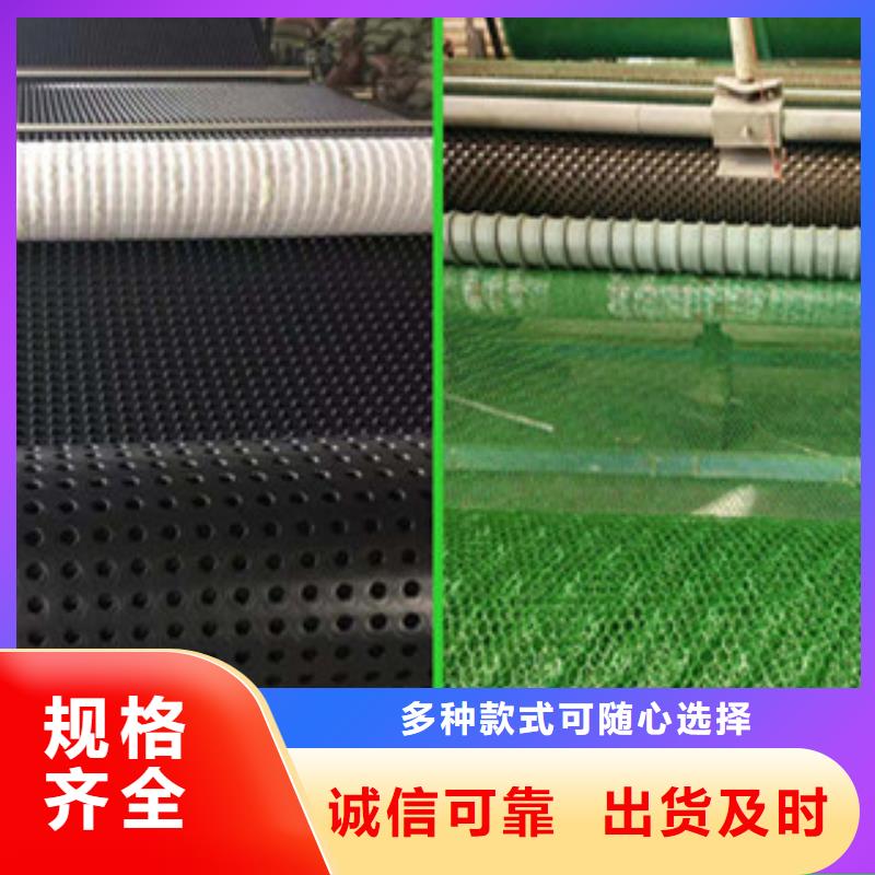 塑料排水板三維植被網(wǎng)廠家經(jīng)驗豐富