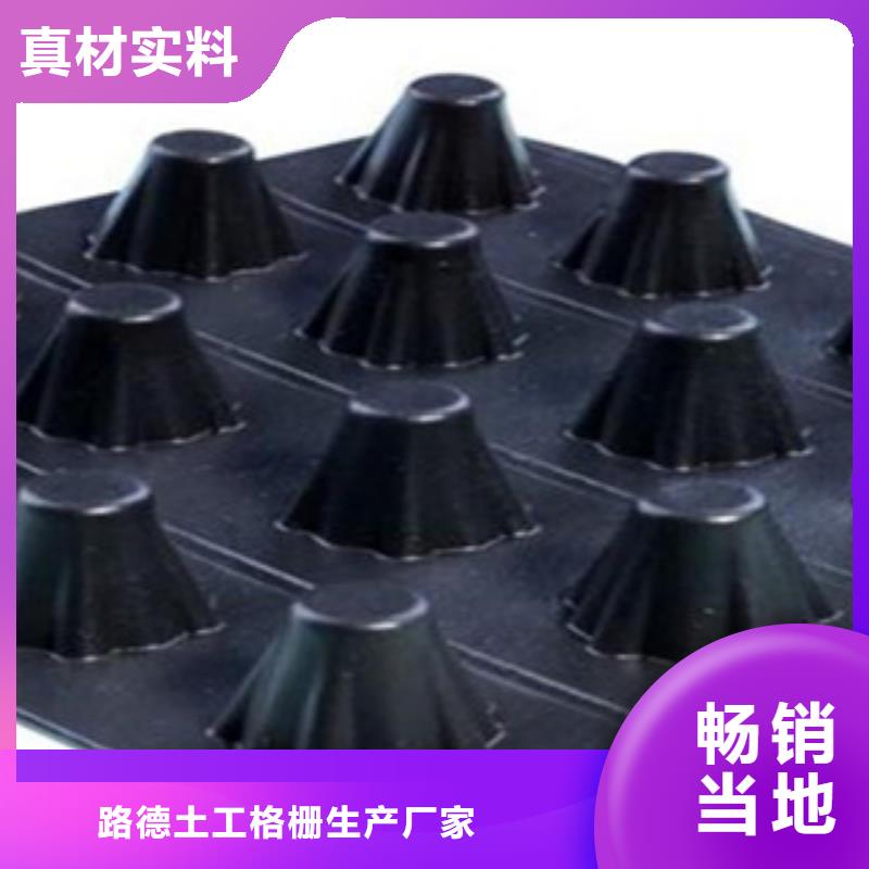 塑料排水板高強度土工網懂您所需