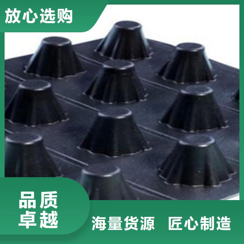 塑料排水板三維植被網廠家經驗豐富