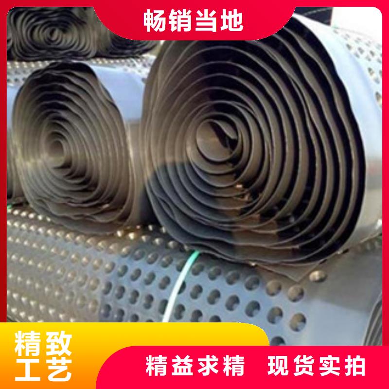 塑料排水板-復合土工布誠信為本