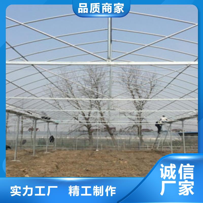 【大棚管無縫鋼管貨到付款】