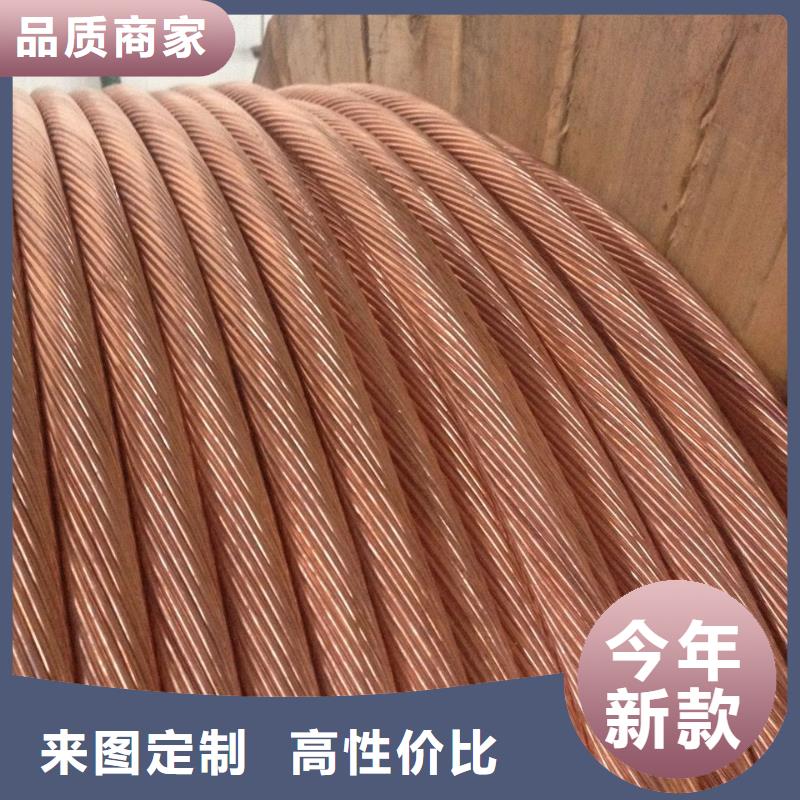鍍錫銅絞線150㎜廠家現貨