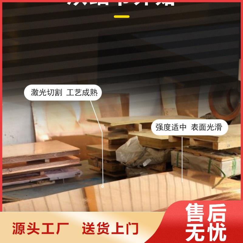 【等電位接地銅排30*3】廠家