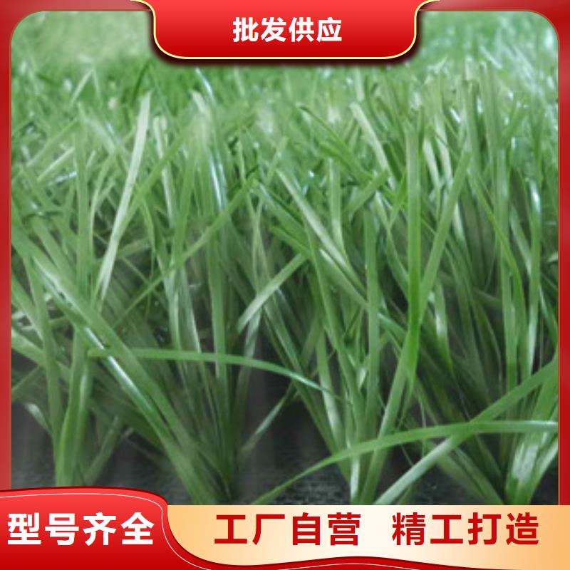 人造草坪硅pu球场服务至上
