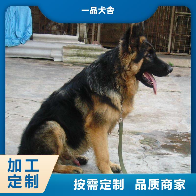 德国牧羊犬卡斯罗犬多种工艺