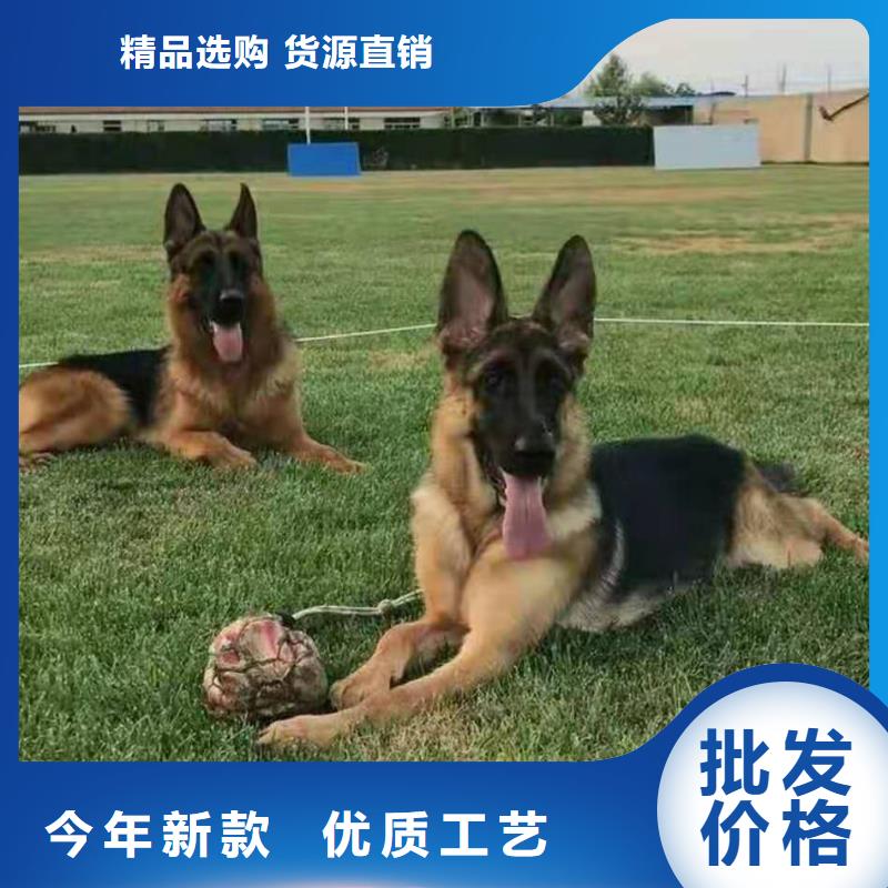 【德国牧羊犬拉布拉多犬保障产品质量】