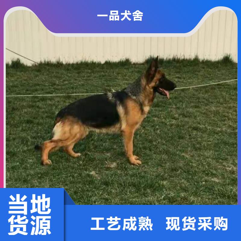 德國牧羊犬羅威納犬一個起售